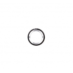 Rear Camera Lens Silver Ring for iPad 2