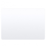 OEM Magic Trackpad 2
